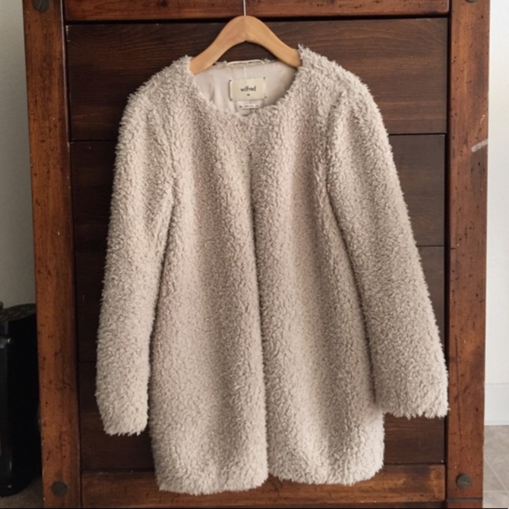 Aritzia Teddy Bear Fuzzy Coat